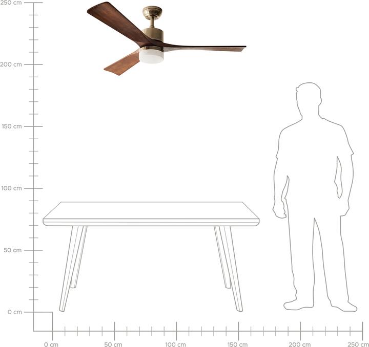 Produktbild Beliani Aruwimi (45 dB)