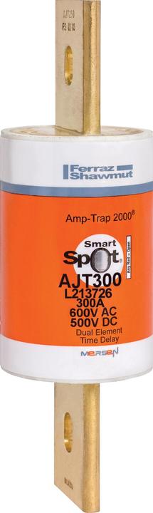 LIN L213726 AMP-TRAP 2000 Class J carrier AJT 54 x 181 AC600V 300A (300 A)