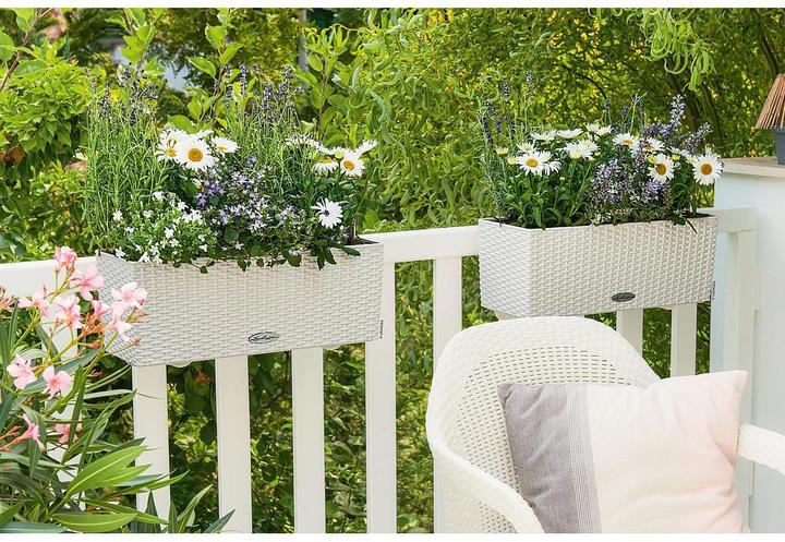 Actual product image Lechuza Flowerpot Balconera Cottage 50 (50 x 19 x 19 cm)