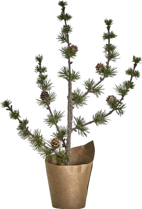 House Doctor Christmas tree, HDStay, Green