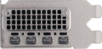 Image du produit PNY Quadro RTX 2000 ADA (16 Go)