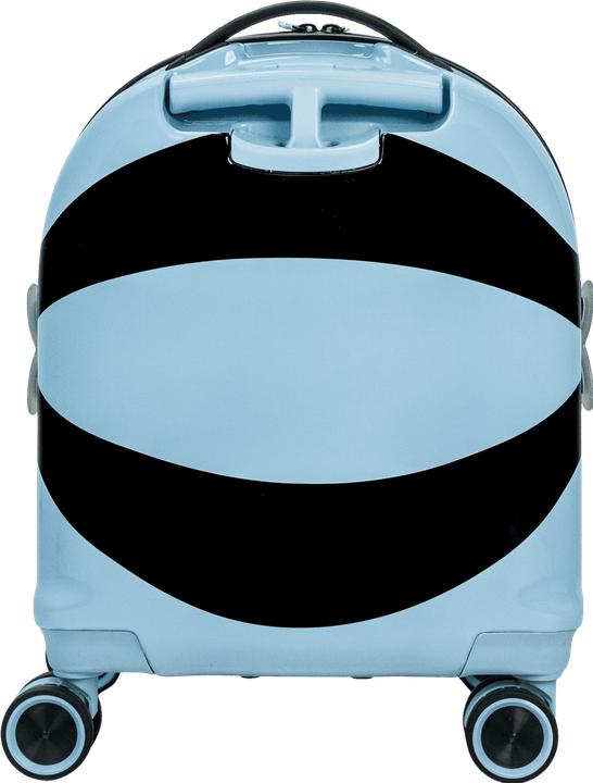 Actual product image Swissbags S (36 l)
