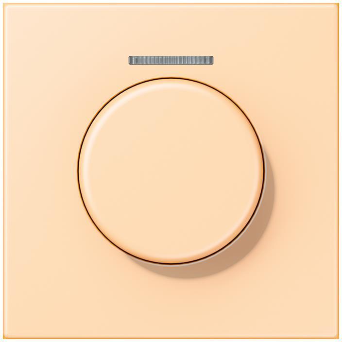 Actual product image JUNG Cover