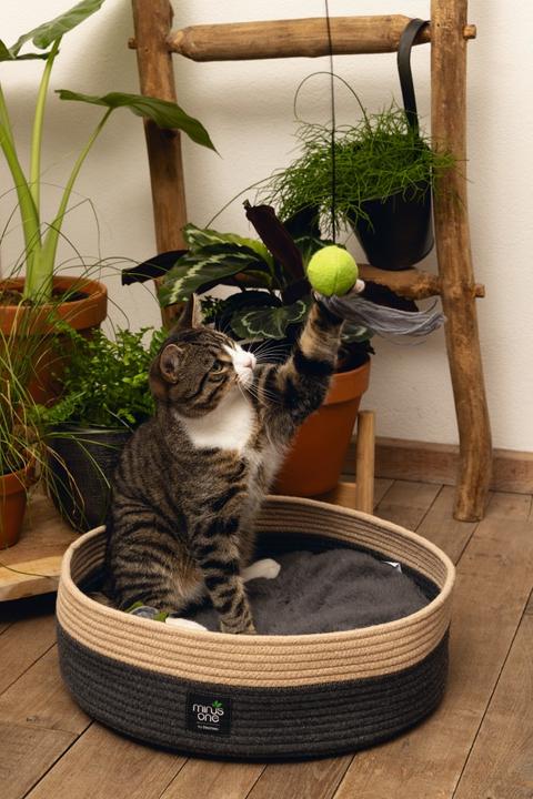 Actual product image Beeztees Minus One Cat Fishing Rod (Catmint toy)