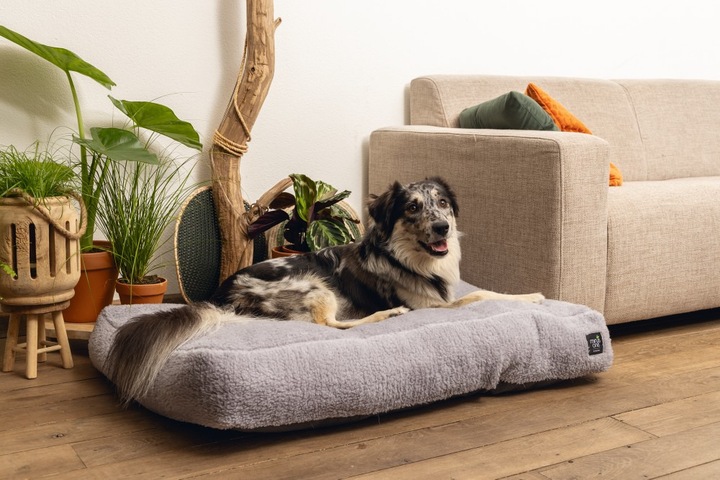 Produktbild Beeztees Minus One Don (Hund)