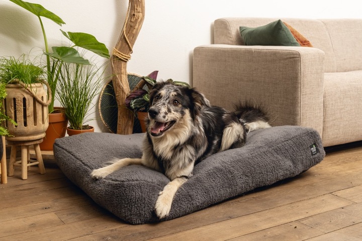 Produktbild Beeztees Minus One Don (Hund)