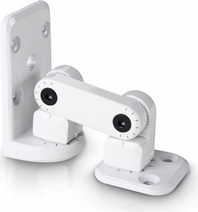 Actual product image LD Systems SAT WMB 10 W wall mount (1 pcs., Wall installation, Height-adjustable)