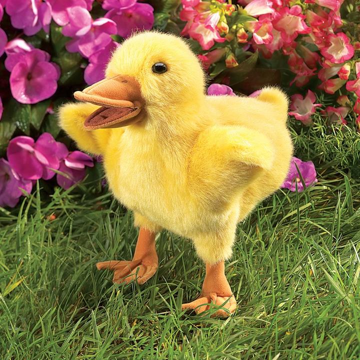 Actual product image Folkmanis Chick