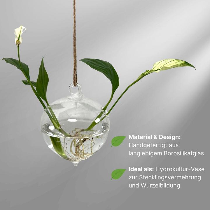 Produktbild Hermex Hängende Glasvase (1 x, 9 x 9 x 12 cm)