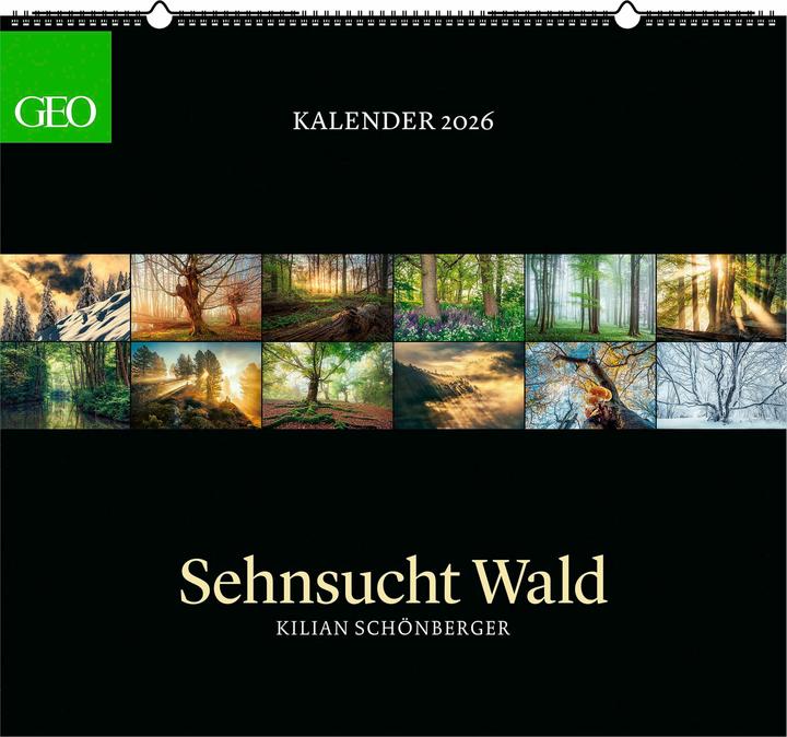 Neumann GEO Kalender: Sehnsucht Wald 2026 - Wand-Kalender - Natur-Kalender - 60x55