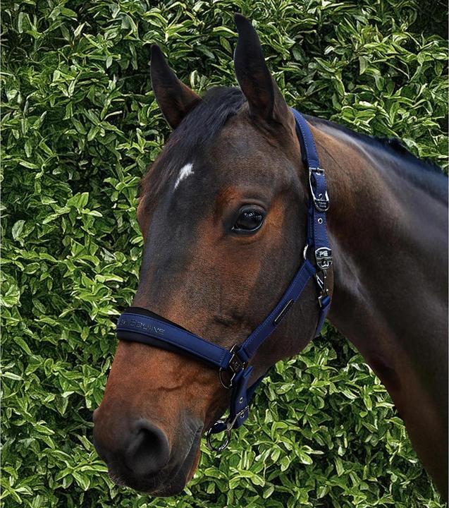 Actual product image Premier Equine Duco