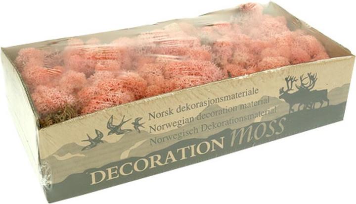 Actual product image Flowerbox Iceland moss