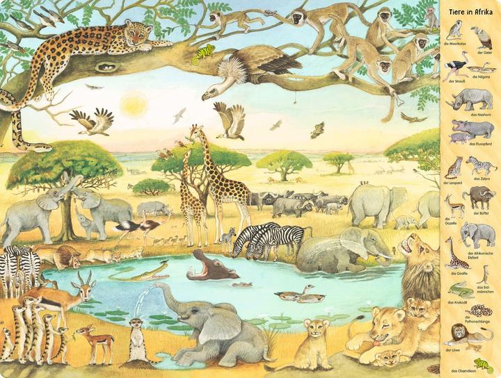 Produktbild Das Riesen-Tiere-Wimmelbuch (Deutsch, Christine Henkel, 2024)