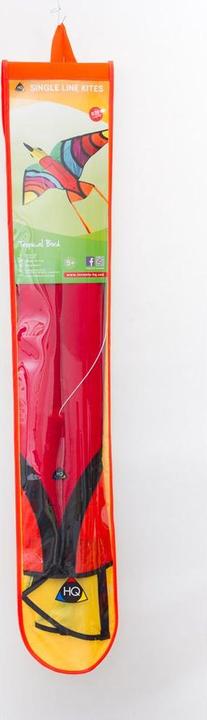 Actual product image Invento Dragon Tropical Bird