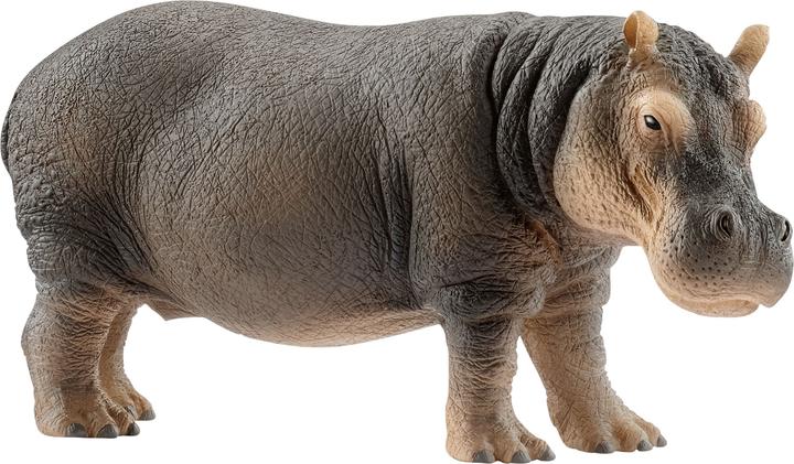 Schleich Hippo