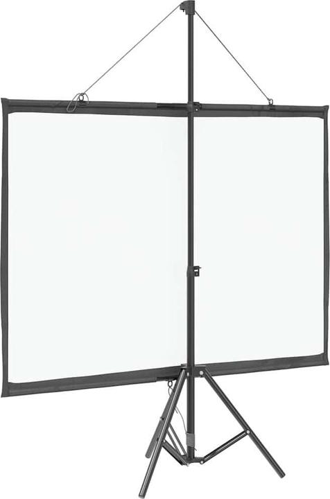 Actual product image vidaXL Projektionsleinwand (50", 4:3)