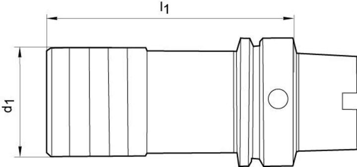 Actual product image Magni Quick-change threaded chuck HSK-A63 M14-33 FORTIS