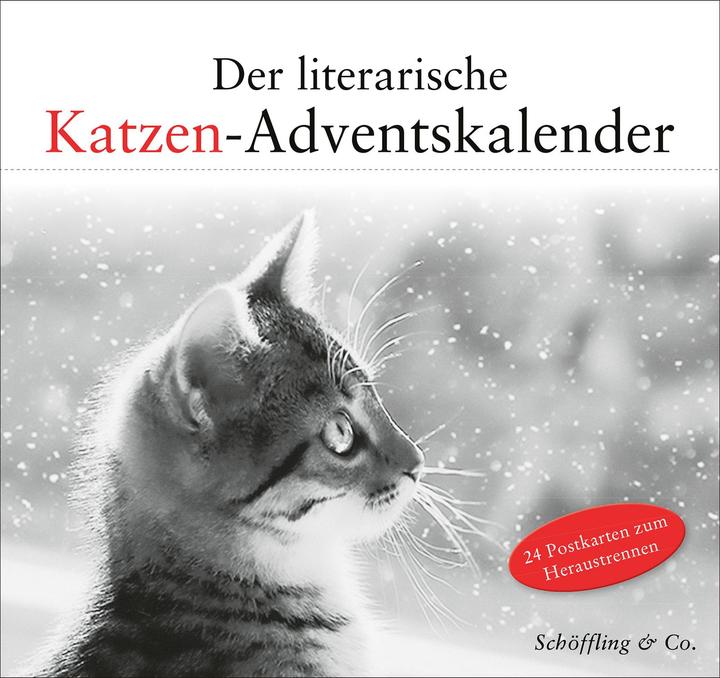Actual product image The literary cat