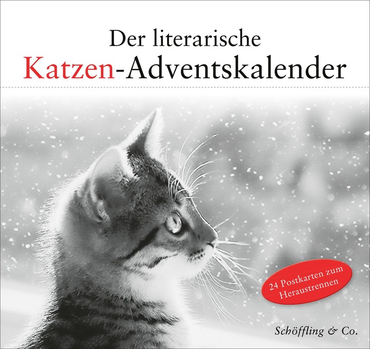 Actual product image The literary cat