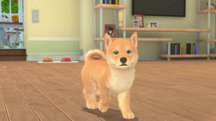 Image du produit Maximum Games My Universe - Chiens et chatons (Switch, IT)