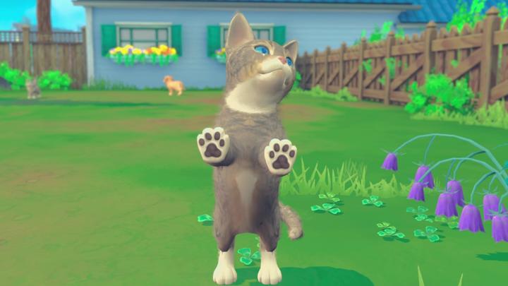 Image du produit Maximum Games My Universe - Chiens et chatons (Switch, IT)