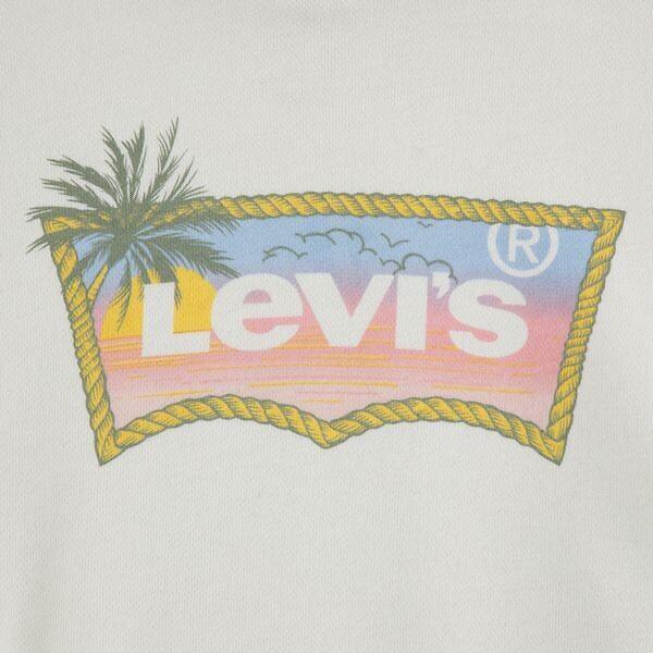 Produktbild Levis Kapuzen-Sweatshirt aus Fleece (152)