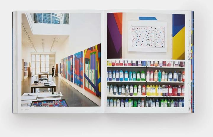 Actual product image Kaws (English, German, Clare Lilley, Dan Needle, Schmidt, Thomas Crow, 2023)