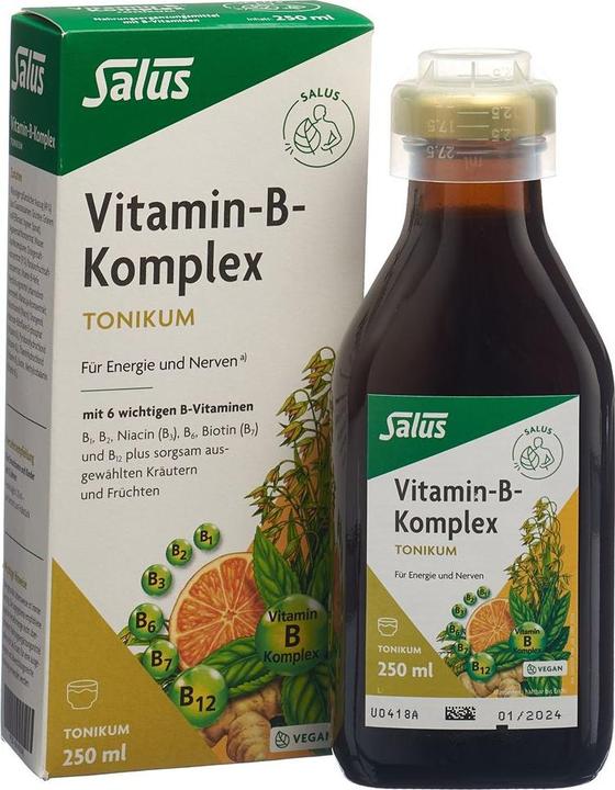 Actual product image Salus Vitamin-B-Komplex (1 Piece, Liquid, 601 g)