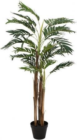 Produktbild Europalms Areca Palme (110 cm)