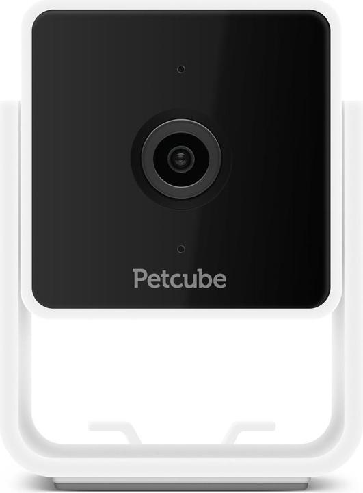 Actual product image Petcube Pet Camera (Catmint toy)