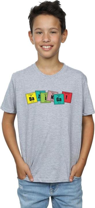 Produktbild Dam Bazinga Elements TShirt Jungen (152, 158)