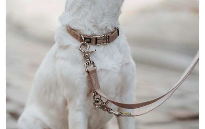 Image du produit Hunter Collier Inari Alu-Strong, M, Beige (M, Chien, Général)