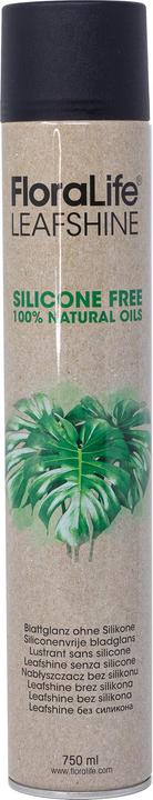 Produktbild Oasis FLORALIFE® Blattglanz