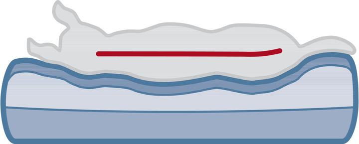 Produktbild Trixie Bendson (Katze, Hund)