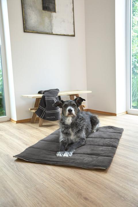 Immagine prodotto Palopa Alma (Cane)