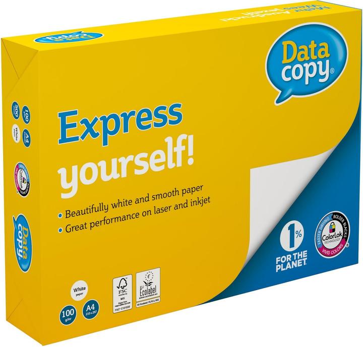 Image du produit Data Copy Papier multifonction Datacopy, 500 feuilles (100 g/m², 500 x, A4)