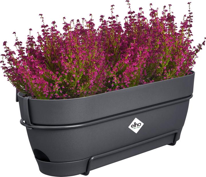 Produktbild Elho Vibia Campana Allin1 (26 cm)