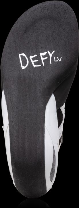 Actual product image Evolv Defy LV (35)