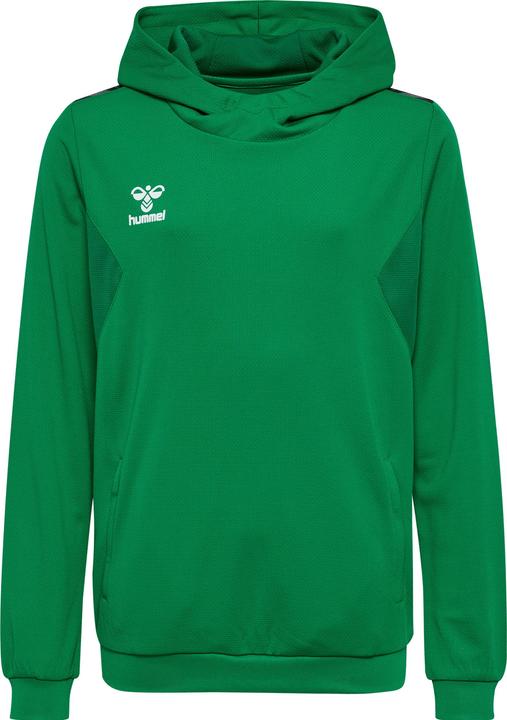 Produktbild hummel Hmlauthentic Pl Hoodie Kids (152)