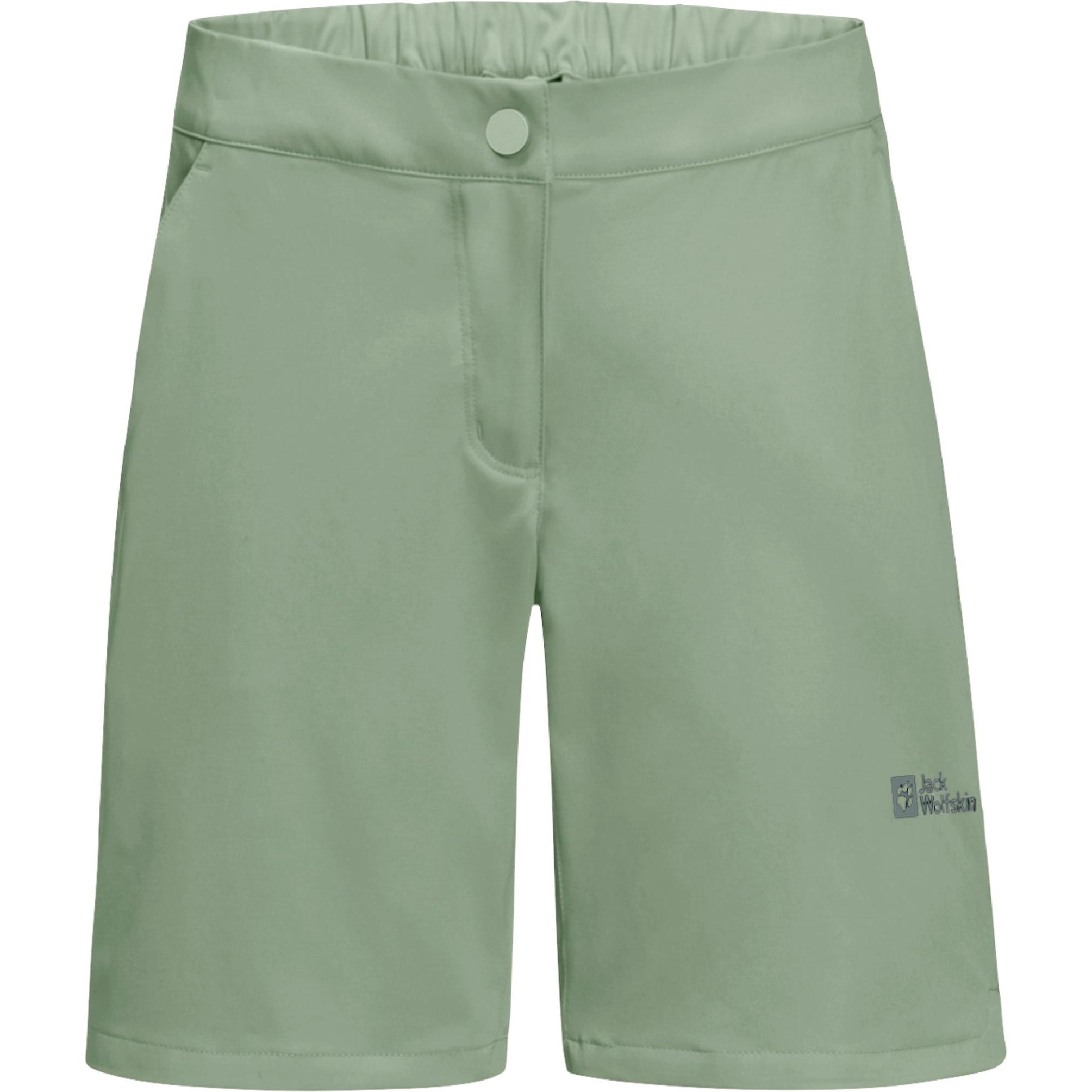 Jack Wolfskin, Damen, Shorts, Hiking Alpine Short W, Grün, (36)