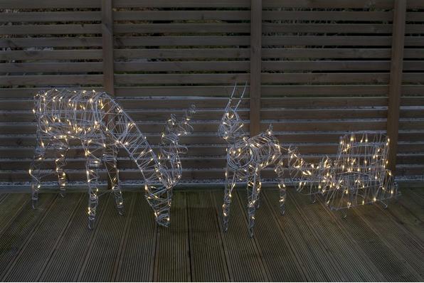 Image du produit Star Trading Sarve