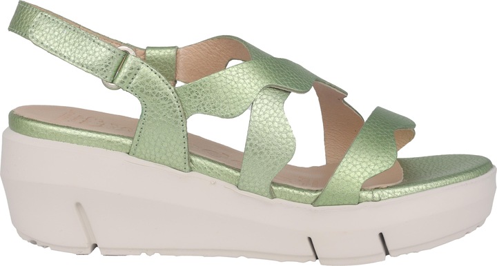 Actual product image Wonders Max (40)