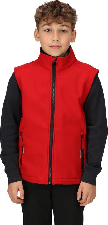 Actual product image Regatta Childrens/Kids Ablaze Softshell Reflective Gilet (104)