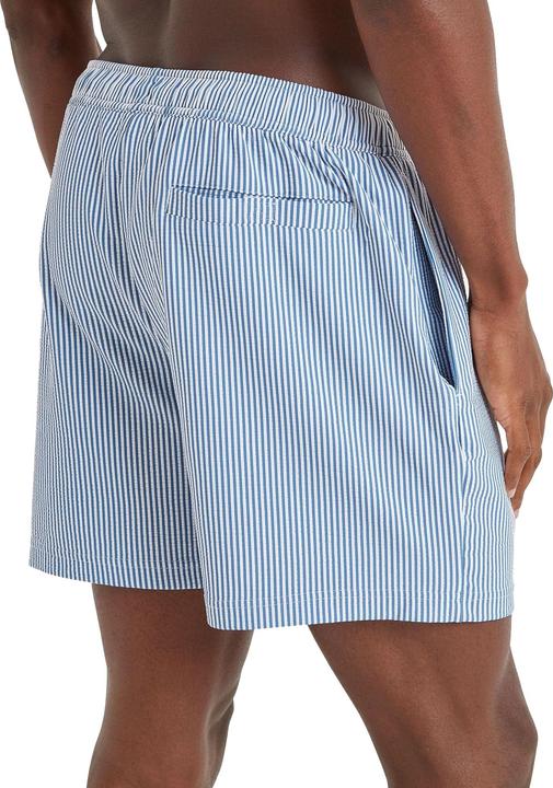 Actual product image TOG24 Mens Micah Stripe Swim Shorts