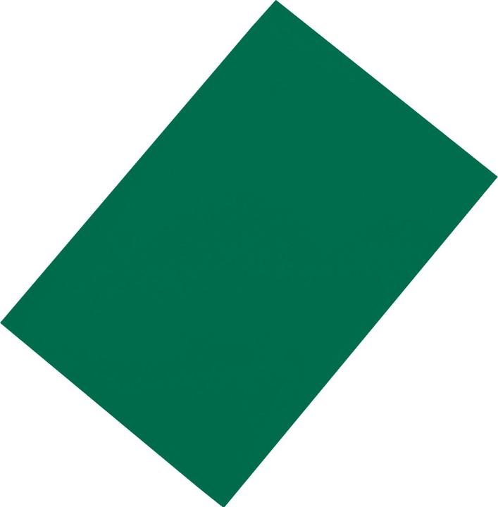 Actual product image Maul Magnet sheet A4 green (1 x)