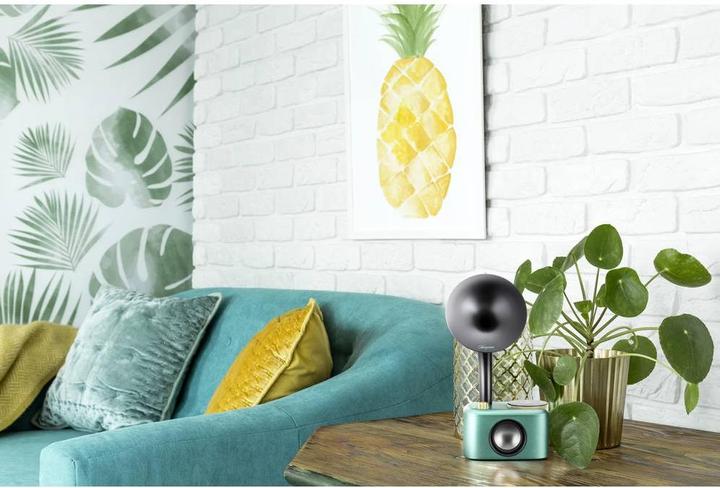 Actual product image Sangean CP 100D (DAB+, Bluetooth)