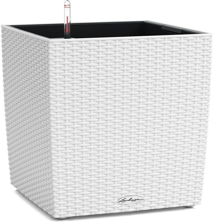 Actual product image Lechuza Cube Cottage (49 x 49 x 49.50 cm)