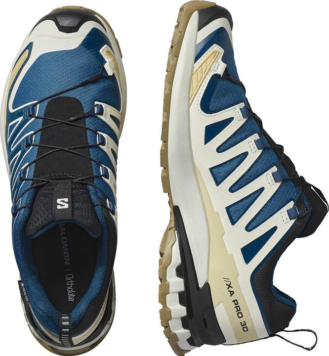 Actual product image Salomon Herren XA Pro 3D v9 GTX Laufschuhe (43 1/3)