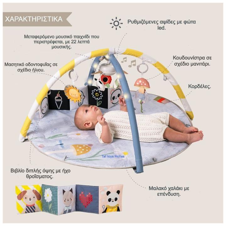 Image du produit Taf Toys Melody Bloom