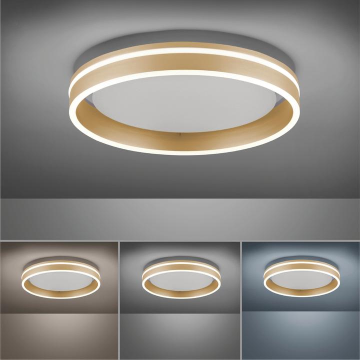 Immagine prodotto Q-Smart Q-VITO (3000 lm)